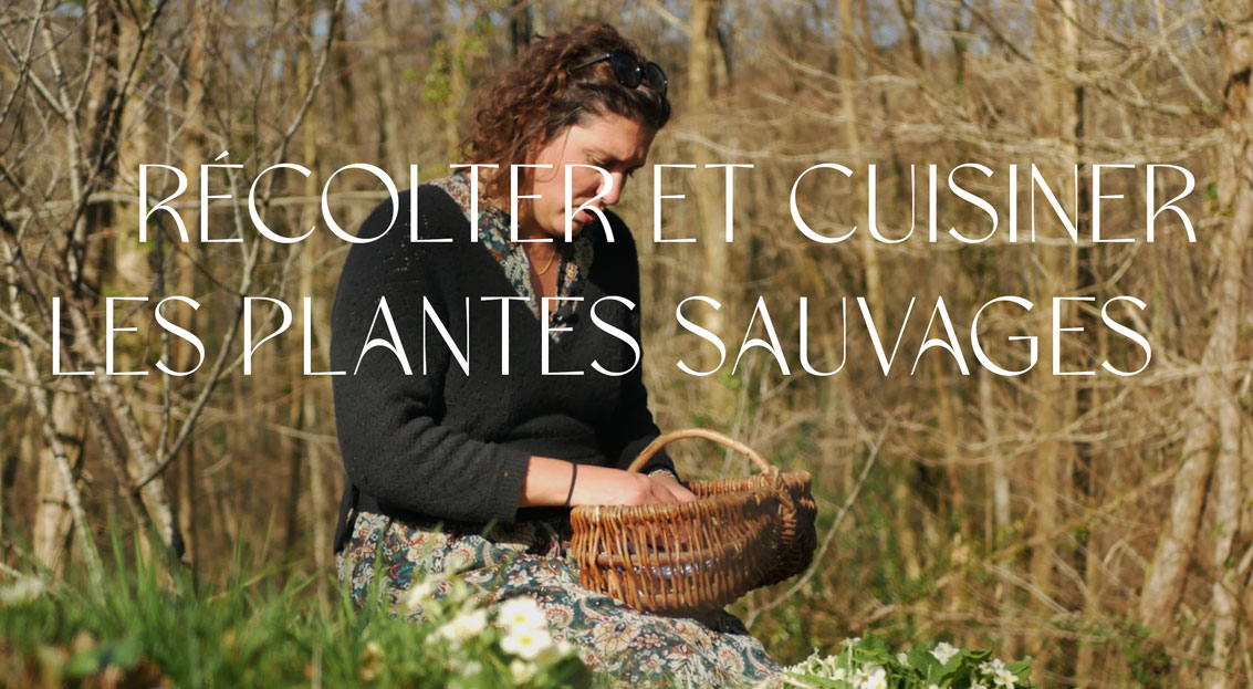 cover-plantes-sauvages-1