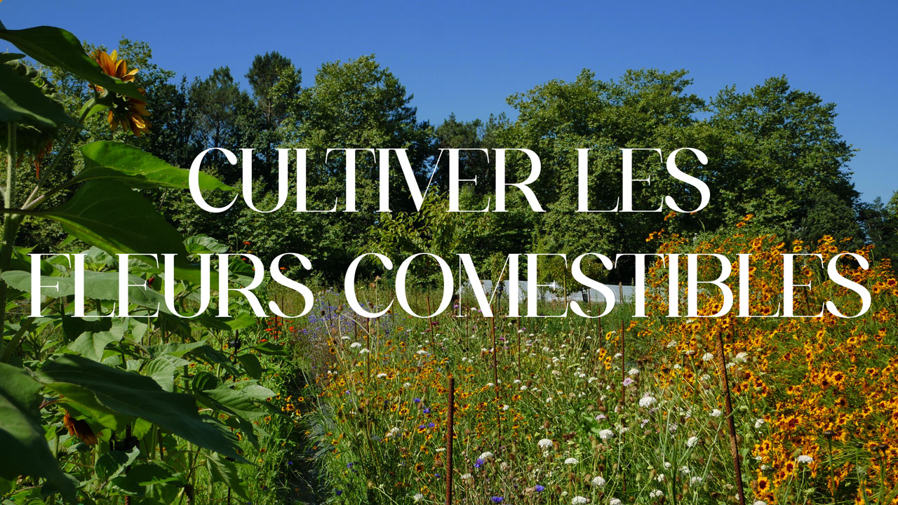 cover_formation_fleurs(1)